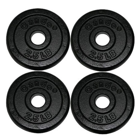Fabrication Enterprises Fabrication Enterprises 10-0601-4 Iron Disc Weight Plates - 0 lbs Set 10-0601-4